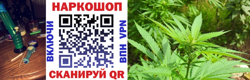 Названия наркотиков Нижнеудинск Codein COCAIN Меф Конопля ГАШИШ Псилоцибиновые грибы