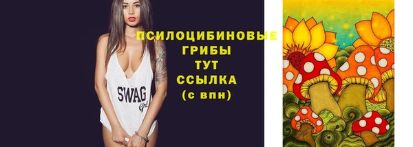 герыч Пересвет