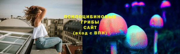 герыч Пересвет