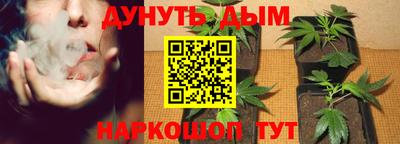 стаф Обь