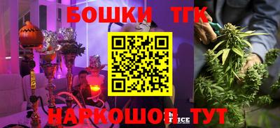 стаф Обь