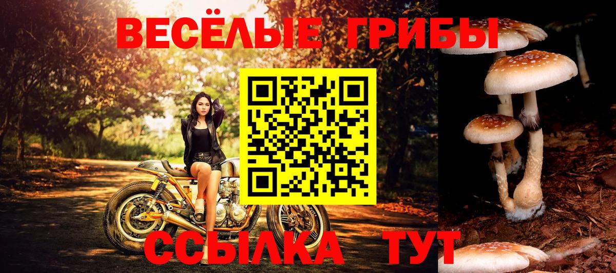 Псилоцибиновые грибы мицелий Нижнеудинск